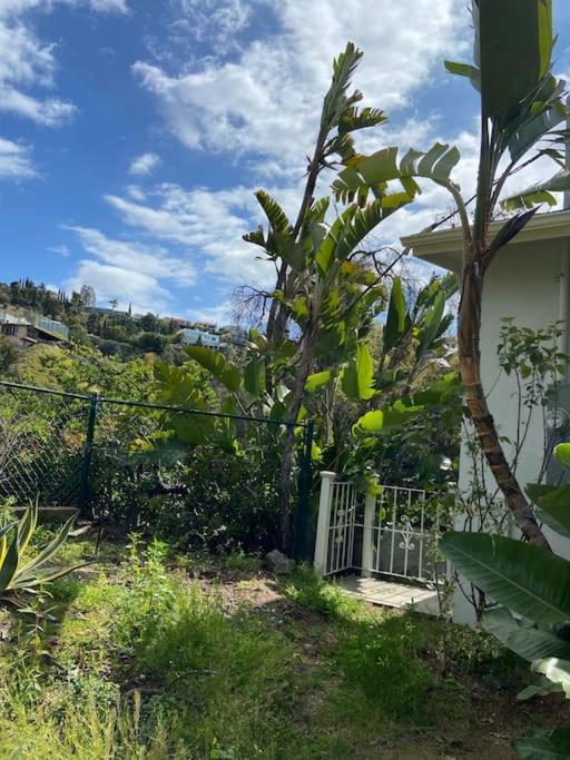 Stunning Hollywood Midcentury Modern-Views-Best Location! Los Angeles Exterior foto